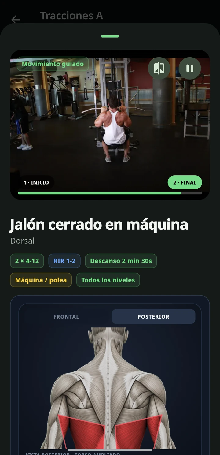 Vídeo de técnica y músculos trabajados